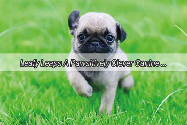 Leafy Leaps A Pawsitively Clever Canine Concoction Swap